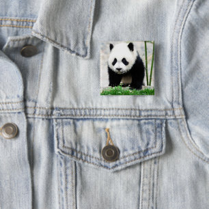 Cutest Baby Animals Baby Panda Bear 15 Cm Square Badge
