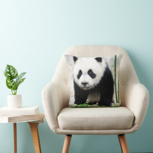 Cutest Baby Animals Baby Panda Bear Cushion