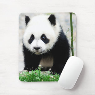 Cutest Baby Animals Baby Panda Bear Mouse Pad