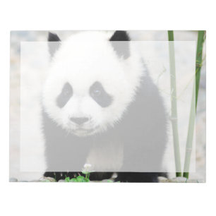 Cutest Baby Animals Baby Panda Bear Notepad