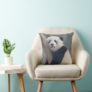 Cutest Baby Animals   Baby Panda Bear Sleeping Cushion
