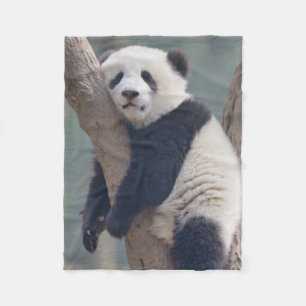 Cutest Baby Animals   Baby Panda Bear Sleeping Fleece Blanket