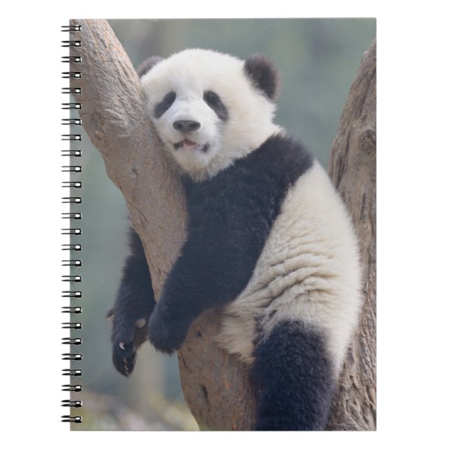 Cutest Baby Animals | Baby Panda Bear Sleeping Notebook (Front)