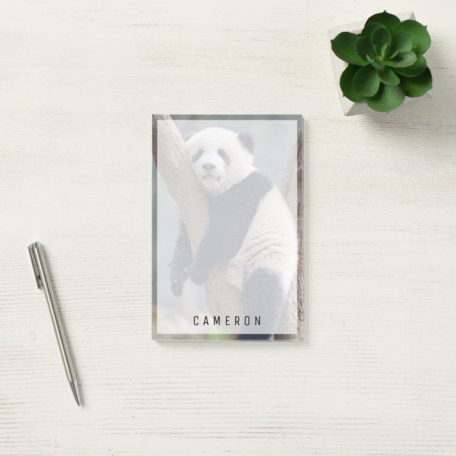 Cutest Baby Animals | Baby Panda Bear Sleeping Post-it Notes (Office)