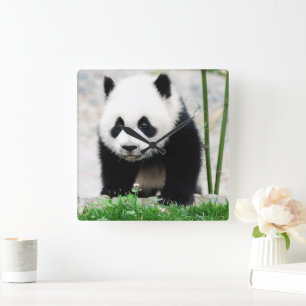 Cutest Baby Animals Baby Panda Bear Square Wall Clock