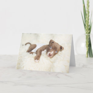 Cutest Baby Animals Baby Pit Bull Puppy Card