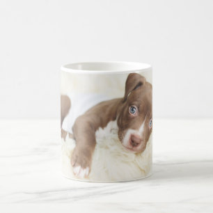 Cutest Baby Animals   Baby Pit Bull Puppy Coffee Mug