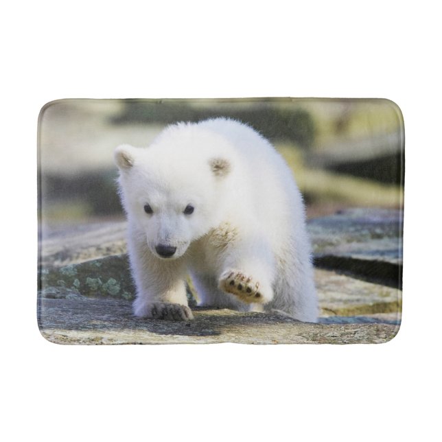Cutest Baby Animals | Baby Polar Bear Bath Mat (Front)