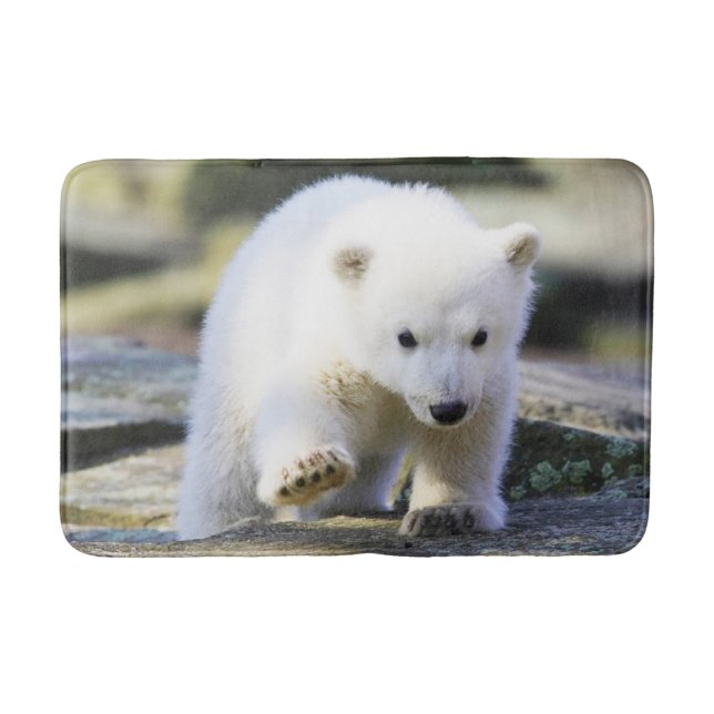 Cutest Baby Animals | Baby Polar Bear Cub Bath Mat (Front)