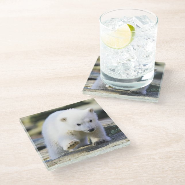 Cutest Baby Animals | Baby Polar Bear Cub Glass Coaster (Angled)