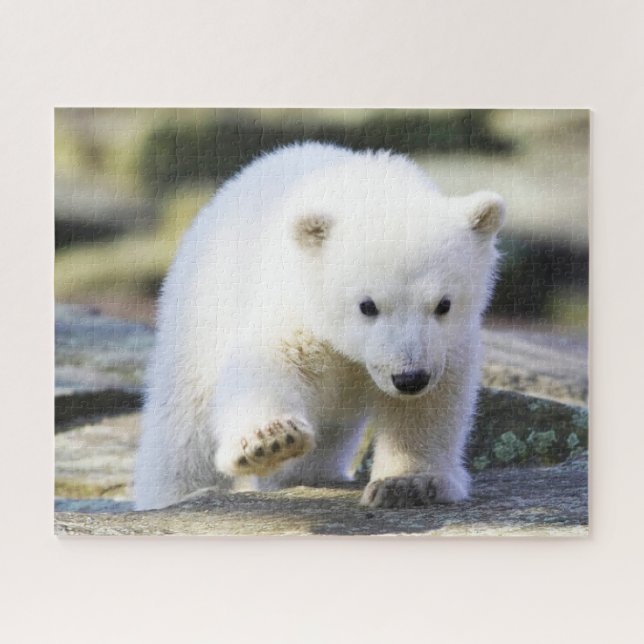 Cutest Baby Animals | Baby Polar Bear Cub Jigsaw Puzzle (Horizontal)