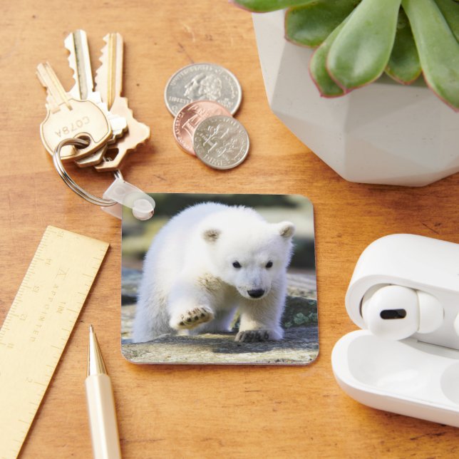 Cutest Baby Animals | Baby Polar Bear Cub Key Ring (Desk)
