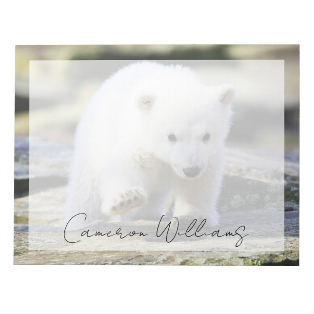 Cutest Baby Animals | Baby Polar Bear Cub Notepad (Front)