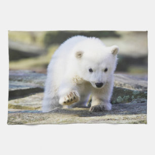 Cutest Baby Animals   Baby Polar Bear Cub Tea Towel