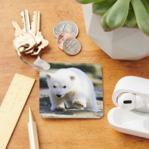 Cutest Baby Animals   Baby Polar Bear Key Ring