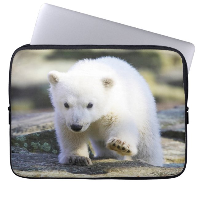 Cutest Baby Animals | Baby Polar Bear Laptop Sleeve (Front)