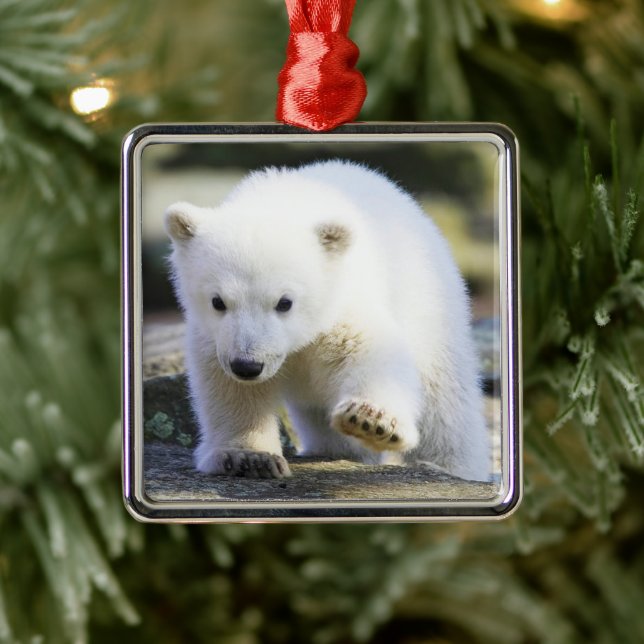 Cutest Baby Animals | Baby Polar Bear Metal Ornament (Tree)