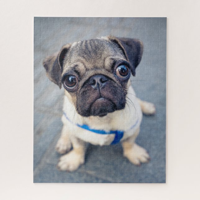 Cutest Baby Animals | Baby Pug Jigsaw Puzzle (Vertical)