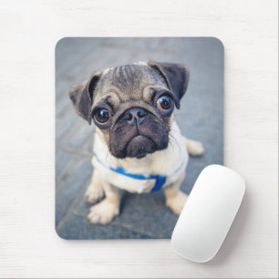 Cutest Baby Animals   Baby Pug Mouse Pad