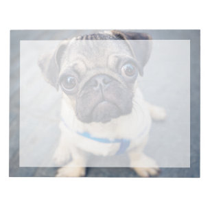 Cutest Baby Animals Baby Pug Notepad