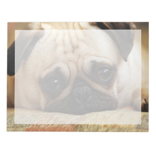 Cutest Baby Animals Baby Pug Puppy Notepad