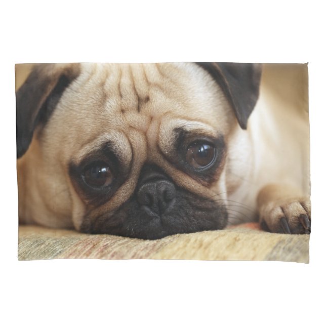 Cutest Baby Animals | Baby Pug Puppy Pillowcase (Front)