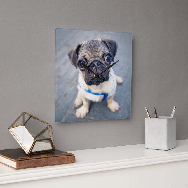 Cutest Baby Animals | Baby Pug Square Wall Clock (Office)