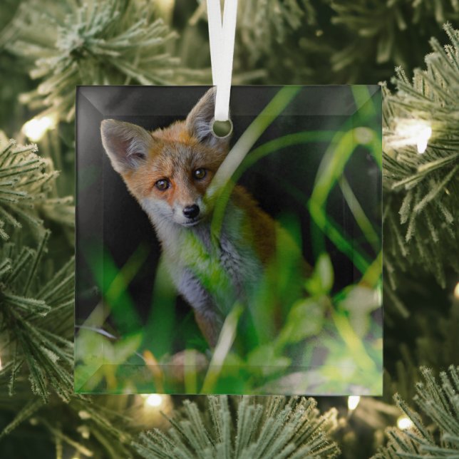 Cutest Baby Animals | Baby Red Fox Glass Tree Decoration (Insitu)