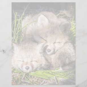 Cutest Baby Animals Baby Red Fox Kits Sleeping