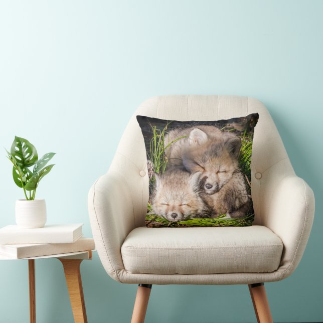 Cutest Baby Animals | Baby Red Fox Kits Sleeping Cushion (Chair)