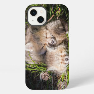 Cutest Baby Animals Baby Red Fox Kits Sleeping iPhone 13 Case