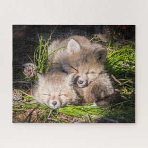 Cutest Baby Animals   Baby Red Fox Kits Sleeping Jigsaw Puzzle