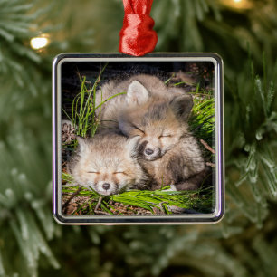 Cutest Baby Animals Baby Red Fox Kits Sleeping Metal Ornament