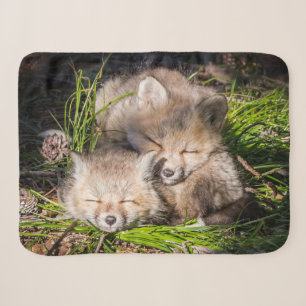Cutest Baby Animals Baby Red Fox Kits Sleeping Sherpa Blanket