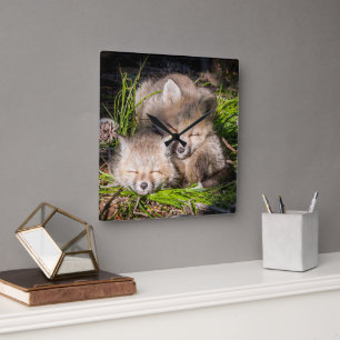 Cutest Baby Animals   Baby Red Fox Kits Sleeping Square Wall Clock