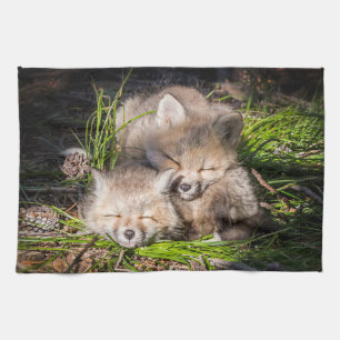 Cutest Baby Animals Baby Red Fox Kits Sleeping Tea Towel
