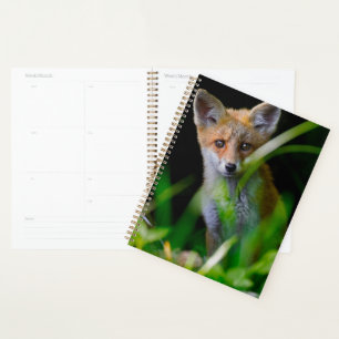 Cutest Baby Animals Baby Red Fox Planner