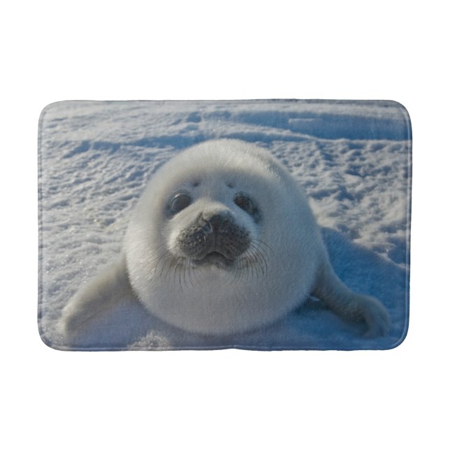 Cutest Baby Animals | Baby Seal Bath Mat (Front)
