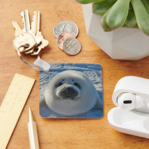 Cutest Baby Animals   Baby Seal Key Ring