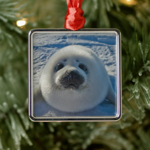 Cutest Baby Animals Baby Seal Metal Ornament