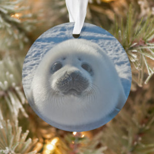 Cutest Baby Animals Baby Seal Ornament