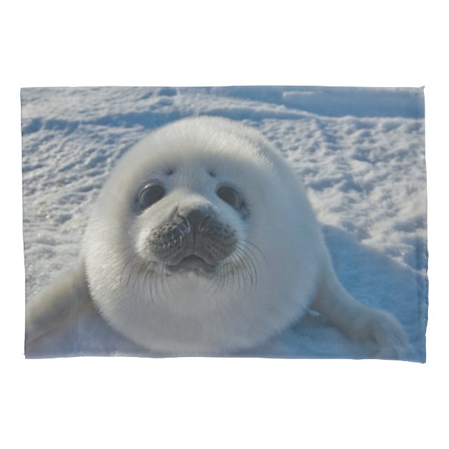 Cutest Baby Animals | Baby Seal Pillowcase (Front)