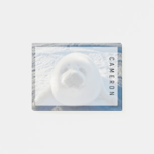 Cutest Baby Animals Baby Seal Post-it Notes