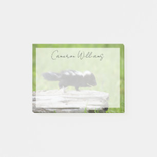 Cutest Baby Animals Baby Skunk Post-it Notes