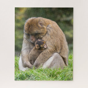 Cutest Baby Animals Barbary Macaque Family Jigsaw Puzzle