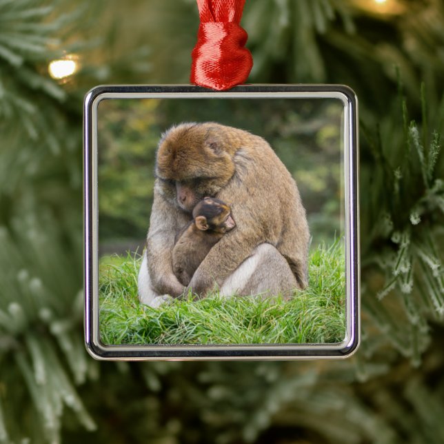 Cutest Baby Animals | Barbary Macaque Family Metal Ornament (Tree)