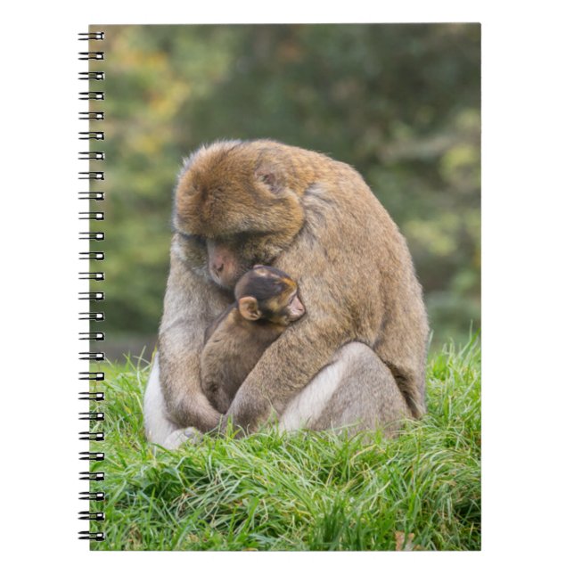 Cutest Baby Animals | Barbary Macaque Family Notebook (Front)