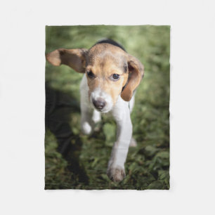 Cutest Baby Animals Beagle Puppy Fleece Blanket