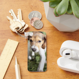 Cutest Baby Animals   Beagle Puppy Key Ring