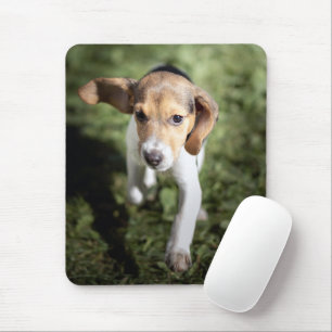Cutest Baby Animals Beagle Puppy Mouse Pad